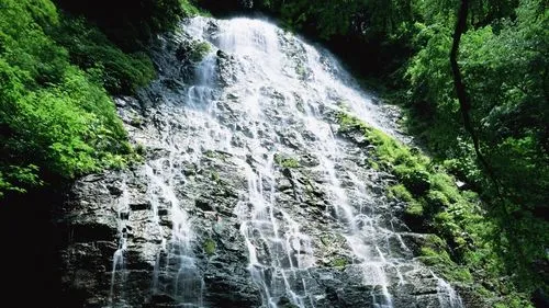 绿色节能
